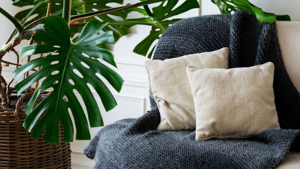 Analítica a medida: la nueva forma de cuidar tu salud